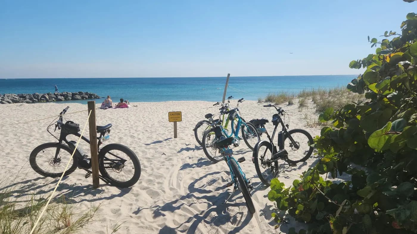 Guided e-bike tour group riding along the beach